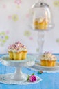 Vanilla cupcake Royalty Free Stock Photo