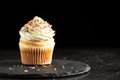 Vanilla cupcake with sprinkles Royalty Free Stock Photo