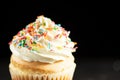 Vanilla cupcake with sprinkles Royalty Free Stock Photo