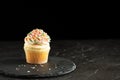 Vanilla cupcake with sprinkles Royalty Free Stock Photo
