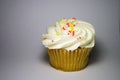 Vanilla Cupcake with Sprinkles Royalty Free Stock Photo