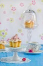 Vanilla cupcake w Royalty Free Stock Photo