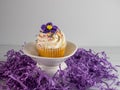 Vanilla cupcake with white frosting and a purple flower and sprinkles on a white dish surrounded by purple paper shred.  Festive, Royalty Free Stock Photo