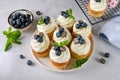 Vanilla cupcakes with blueberries and with cream cheese frosting Royalty Free Stock Photo