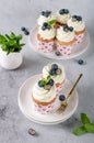 Vanilla cupcakes with blueberries and with cream cheese frosting Royalty Free Stock Photo