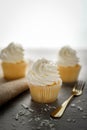 Vanilla cupcakes frosting with butter cream. Royalty Free Stock Photo