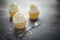 Vanilla cupcakes frosting with butter cream. Royalty Free Stock Photo
