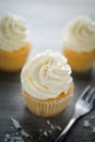 Vanilla cupcakes frosting with butter cream. Royalty Free Stock Photo