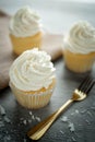 Vanilla cupcakes frosting with butter cream. Royalty Free Stock Photo