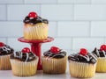 Vanilla cupcakes with chocolate frosting decorated with white drizzle and cherry on top sitting on a white background with a white Royalty Free Stock Photo