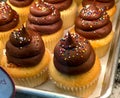 Vanilla cupcakes with Chocolate Frosting Royalty Free Stock Photo