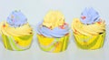Vanilla cupcakes Royalty Free Stock Photo
