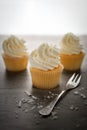 Vanilla cupcakes frosting with butter cream. Royalty Free Stock Photo