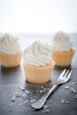 Vanilla cupcakes frosting with butter cream. Royalty Free Stock Photo