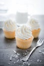 Vanilla cupcakes frosting with butter cream. Royalty Free Stock Photo