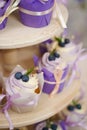 Vanilla cupcakes with lavender cream. Thematic muffins. Cupcakes with cream in a paper tulip form, decorated with Royalty Free Stock Photo