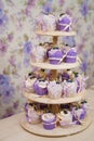 Vanilla cupcakes with lavender cream. Thematic muffins. Cupcakes with cream in a paper tulip form, decorated with Royalty Free Stock Photo