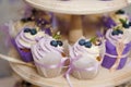 Vanilla cupcakes with lavender cream. Thematic muffins. Cupcakes with cream in a paper tulip form, decorated with Royalty Free Stock Photo