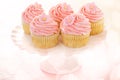 Vanilla cupcakes with pink raspberry frosting