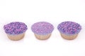 Vanilla cupcakes, with purple-coloured buttercream