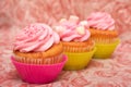 Vanilla cupcakes with strawberry icing Royalty Free Stock Photo