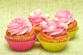 Vanilla cupcakes with strawberry icing Royalty Free Stock Photo