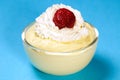 Vanilla custard Royalty Free Stock Photo