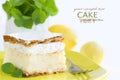 Vanilla custard cream cake Royalty Free Stock Photo