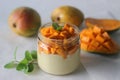 Vanilla custard topped with fresh cut mangoes served in a jar Royalty Free Stock Photo