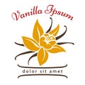 Vanilla dessert flavor logo. Vanillas aromatic flower and bean silhouette vector icon isolated on white background Royalty Free Stock Photo