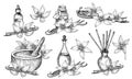 Vanilla essential oil. Hand drawn vector illustration of bottles and carafe with flowers and sticks in linear style. Set