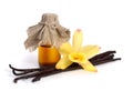 Vanilla essential oil in pharmaceutical bottle Royalty Free Stock Photo