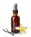 Vanilla extract, flower and dry pods isolated Royalty Free Stock Photo