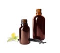 Vanilla extract, flower and dry pods isolated Royalty Free Stock Photo