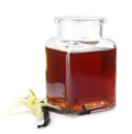 Vanilla extract, flower and dry pods isolated Royalty Free Stock Photo