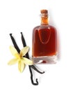 Vanilla extract, flower and dry pods isolated on white Royalty Free Stock Photo