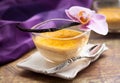 Vanilla flan Royalty Free Stock Photo