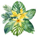 Vanilla flower. Palm leaves, flowers. Tropical composition, hand drawn watercolor botanical painting. jungle card