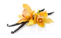 Vanilla flower and pods close up. Vanilla beans isolated on white background, macro shot Royalty Free Stock Photo