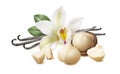 Vanilla flower, pods, macadamia nuts isolated on white background with clipping path Royalty Free Stock Photo