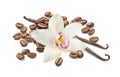 Vanilla flower and roasted coffee beans isolated on white background. Top view Royalty Free Stock Photo