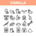 Vanilla Flower Spice Collection Icons Set Vector