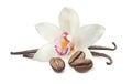 Vanilla flowers and coffee beans isolated on white background Royalty Free Stock Photo