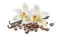 Vanilla flowers and pile of coffee beans isolated on white background Royalty Free Stock Photo