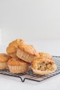 Vanilla fresh baked muffins with nuts and berries Royalty Free Stock Photo