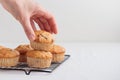Vanilla fresh baked muffins on a white table Royalty Free Stock Photo