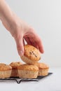 Vanilla fresh baked muffins on a white table Royalty Free Stock Photo