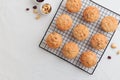 Vanilla fresh baked muffins on a white table with nuts and berries Royalty Free Stock Photo