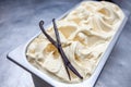 Vanilla Gelato with Pod. Traditional Italian Ice cream tub handmade Royalty Free Stock Photo