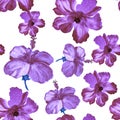 Vanilla Hibiscus Foliage. Purple Flower Garden. Pink Seamless Design. Lavender Vintage Design. Pattern Illustration. Watercolor Ju